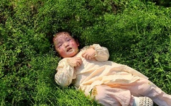 内射频视频教程大全免费